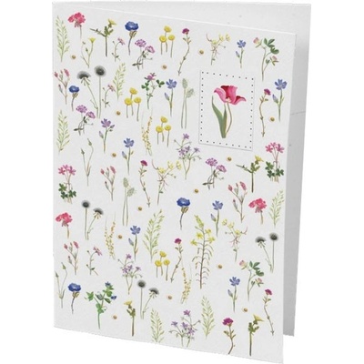 Картичка Turnowsky MO5083 (MO5083)