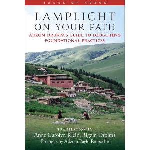 Lamplight on Your Path | KLEIN, ANNE CAROLYN (2026)