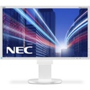 Monitory NEC EA244UHD