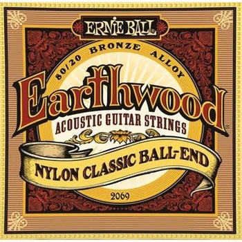 Ernie Ball 2069