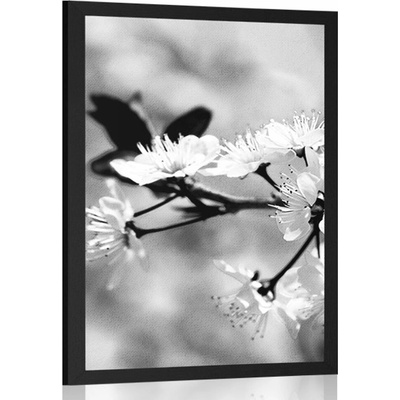 Plakát třešňový květ v černobílém provedení - 20x30 white