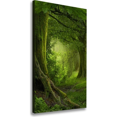 Vertikálny foto obraz na plátne Tropická džungle 50x100 cm