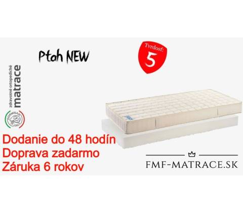 Dormisan Ptah New