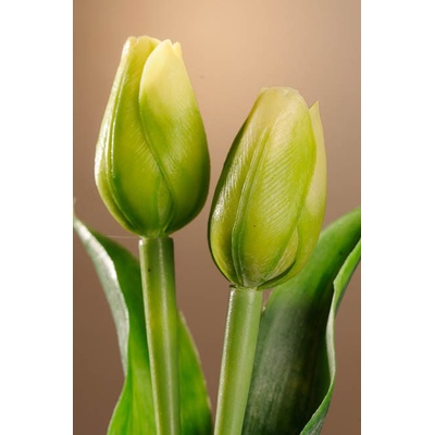 Paramit Umělý tulipán zelený 40 cm
