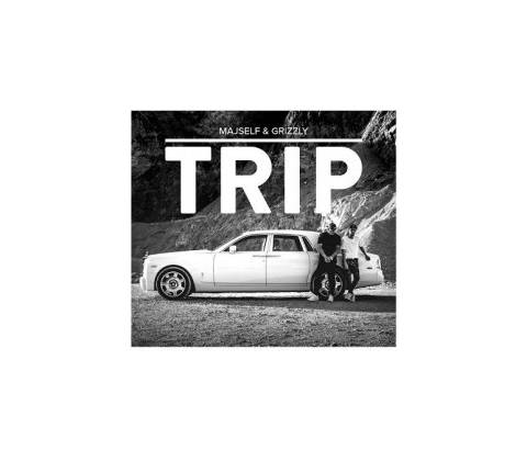MAJSELF & GRIZZLY - TRIP CD