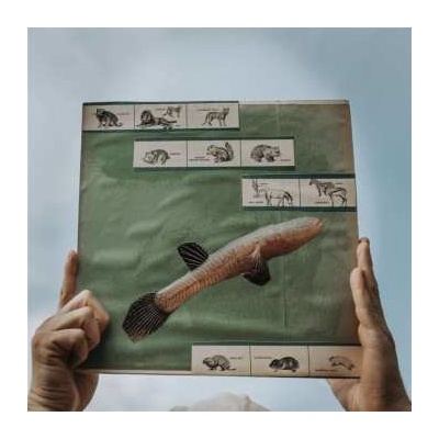 Cotton Jones - The River Strumming LP
