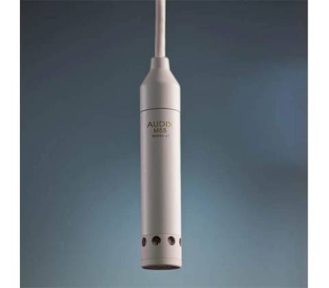 Audix M55W