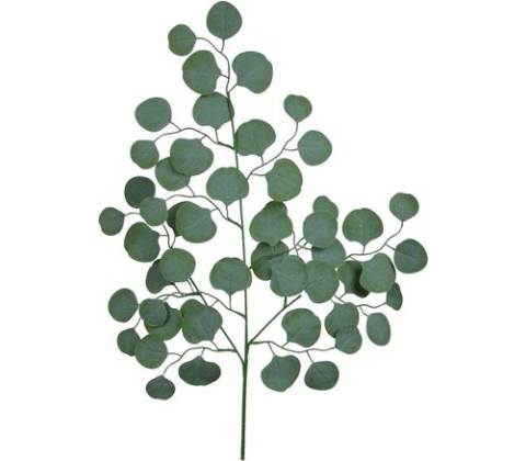 Umelý list eukalyptus 70cm