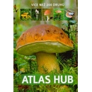 Atlas hub