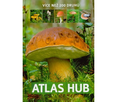 Atlas hub