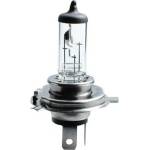 m-tech 12V35/35W HS1 PX43t халогенна крушка (Z75)