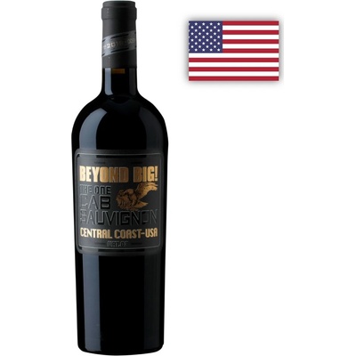 Beyond BIG Cabernet Sauvignon 14,5% 0,75 l (holá láhev)