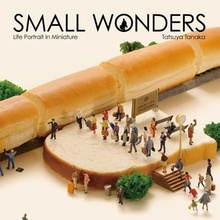 Small Wonders - Life Portrait in Miniature - (Tanaka Tatsuya)
