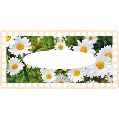 Chráněná dílna Dřevěný svět Víko na kapesníky obdélník 24 x 12 cm Sedmikrásky 2 – Zboží Mobilmania