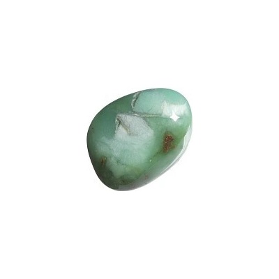 Chryzopras tromlovaný L, QAA