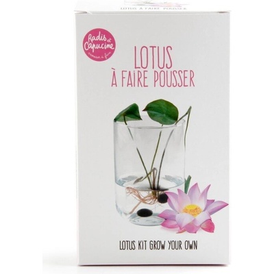 Radis et Capucine Лотос в стъкленица - комплект за отглеждане (pf141118)