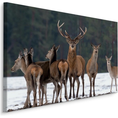 MyBestHome BOX Plátno Jelen A Laňe Varianta: 90x60