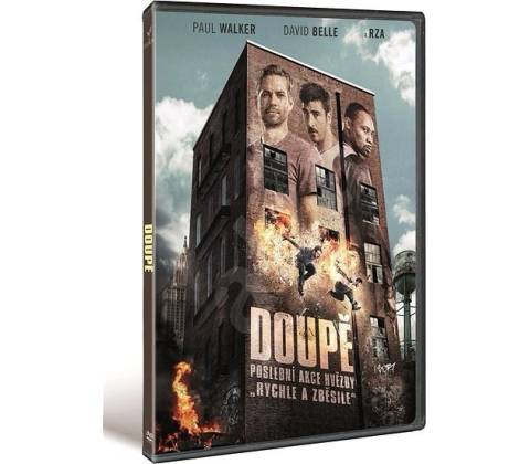 Doupě DVD