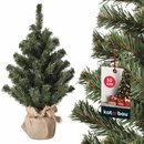XMAS Erbis | Vianočný stromček TREES 50 cm borovica | ER0052