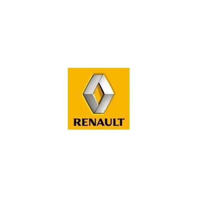Renault perleťová farba nariedená, pripravená na striekanie 1000 ml
