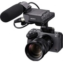 Sony Alpha FX30