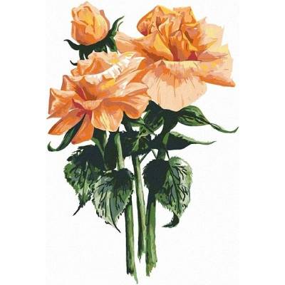 zuty Zuty - Malování Podle Čísel - Oranžové Růže (Alexandria Gilbert), 80X100 Cm, Plátno