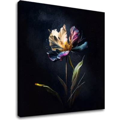 Dizajnová dekorácia na plátne Tajomný kvet v noci - 50x50 cm