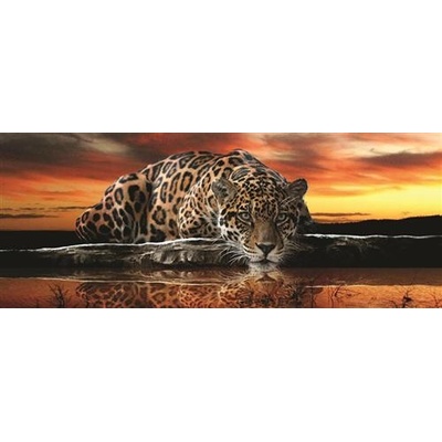IMPOL TRADE 126VE Vliesová fototapeta jaguár rozmer 250 cm x 100 cm