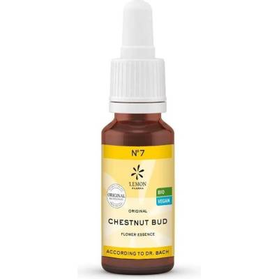 Lemon Pharma Chestnut Bud Цветна есенция N°7, 20 ml, Lemon Pharma (181076 LP)