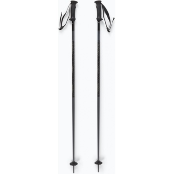 Salomon Polar Access