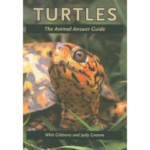 Turtles | Whit Gibbons, Judy Greene (ISBN: 9780801893506)