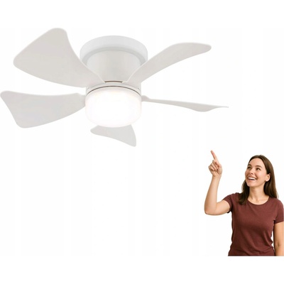 Globo 03609W