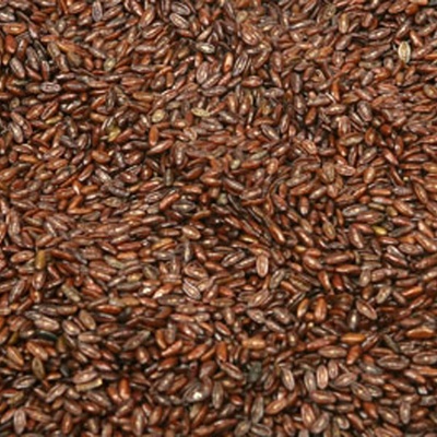 Psyllium semená plantago psyllium mletý 100 g