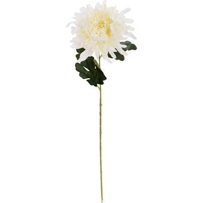 KS CHRYZANTÉMA BIELA 60CM
