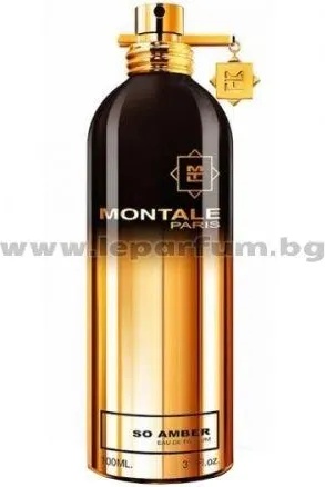 Montale So Amber EDP 100 ml Tester