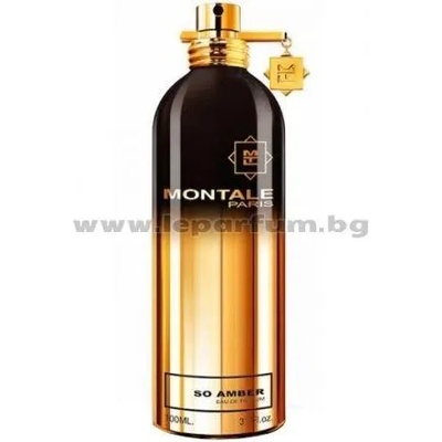 Montale So Amber EDP 100 ml Tester