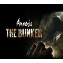 Amnesia: The Bunker