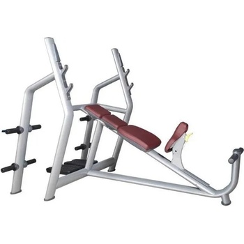 Active Gym Olympic Incline Bench