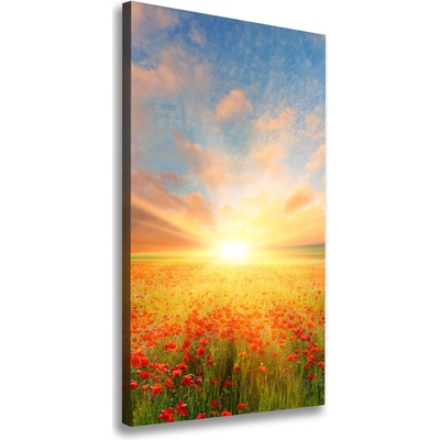 Vertikálny foto obraz na plátne do obývačky Pole makov 50x100 cm