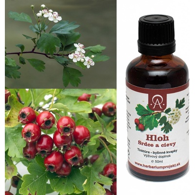 Herbarium Projekt Hloh srdce a cievy tinktúra 50 ml