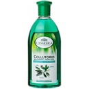 L´Angelica ústní výplach Herbal Extracts 500 ml