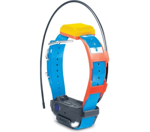 Dogtra PATHFINDER 2