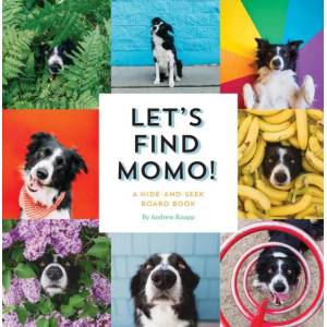 Let's Find Momo! (2017)