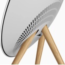 Image 1 of Bang & Olufsen Beosound A9 5th Gen