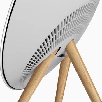 Image 1 of Bang & Olufsen Beosound A9 5th Gen