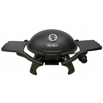 Image 1 of Singer Naumann Griglia