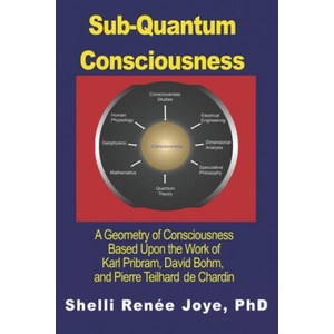 Sub-Quantum Consciousness: A Geometry of Consciousness Based Upon the Work of Karl Pribram, David Bohm, and Pierre Teilhard De Chardin (ISBN: 9781950761005)