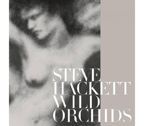 Hackett Steve - Wild Orchids LP