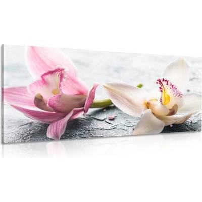 Obraz květiny orchideje - 140x70