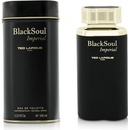 Ted Lapidus Black Soul Imperial toaletní voda pánská 100 ml